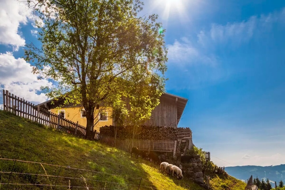 Ferienbauernhof Elmaugut in Muehlbach Am Hochkoenig, Austria