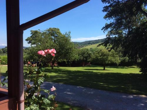 Cherry Tree Lodge 4 — 4-Star Luxury Hotel in Minehead, United Kingdom