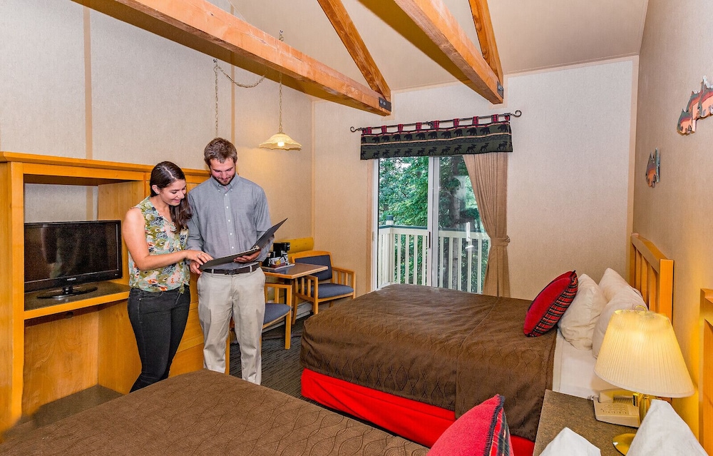 Denali Bluffs Hotel - photo 8