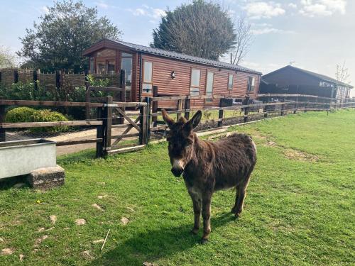 Rew Farm Country and Equestrian Accommodation Sunset Lodge — 4-Star Luxury Hotel in Melksham, United Kingdom