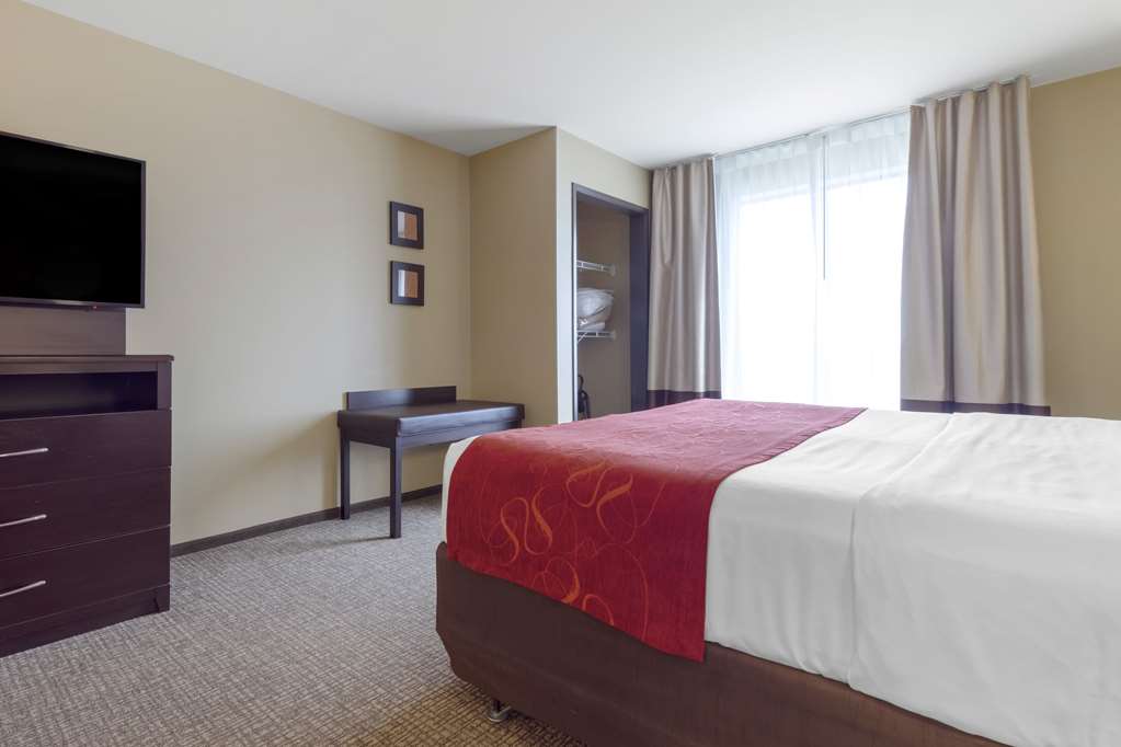 Comfort Suites and Conference Center - photo 12