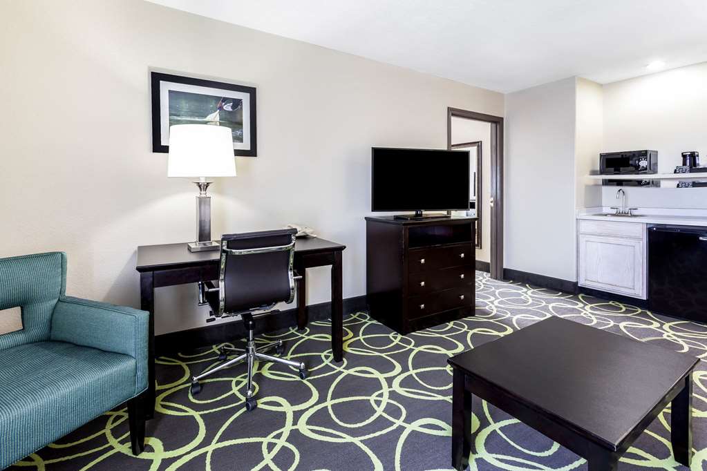 La Quinta Inn & Suites by Wyndham New Braunfels - photo 41