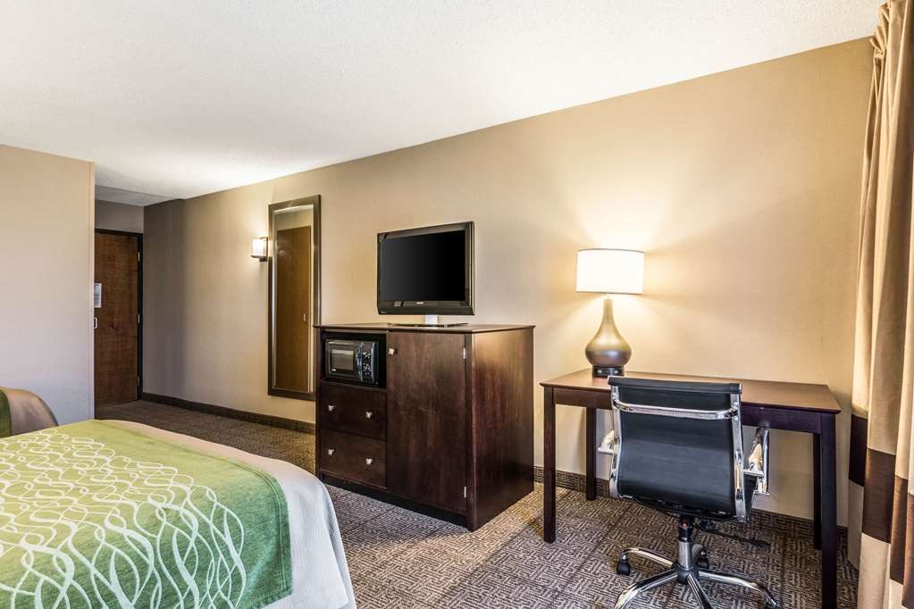 Comfort Inn Lansing West - photo 8