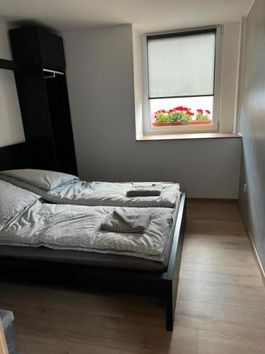 Loft Pihenő és Wellness Ház — Balatonfured — photo 3