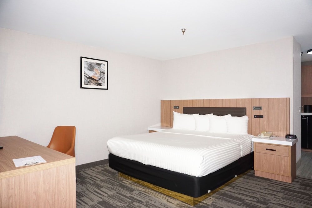 Modesto Hotel - photo 16
