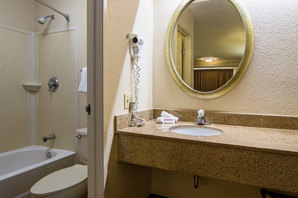 Red Roof Inn Detroit Southfield - photo 10