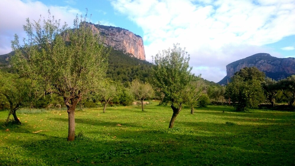 Orengar — 4-Star Luxury Hotel in Alaro, Spain