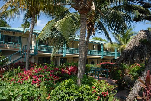 The Island Beachcomber Hotel — Charlotte Amalie — photo 5