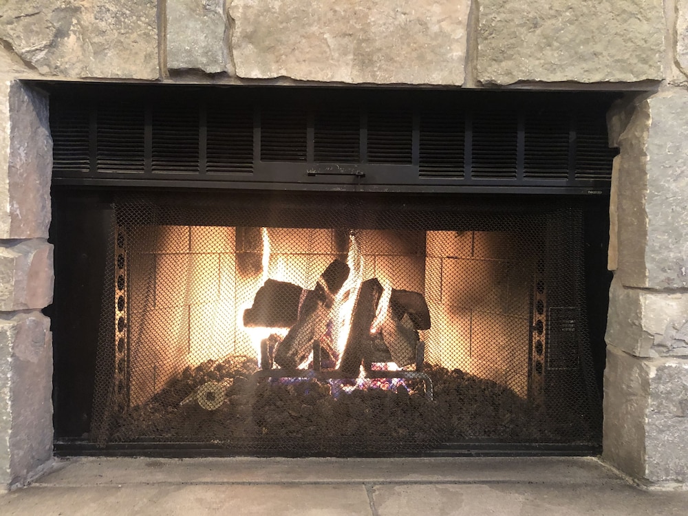 Ivy Court Inn & Suites - photo 38