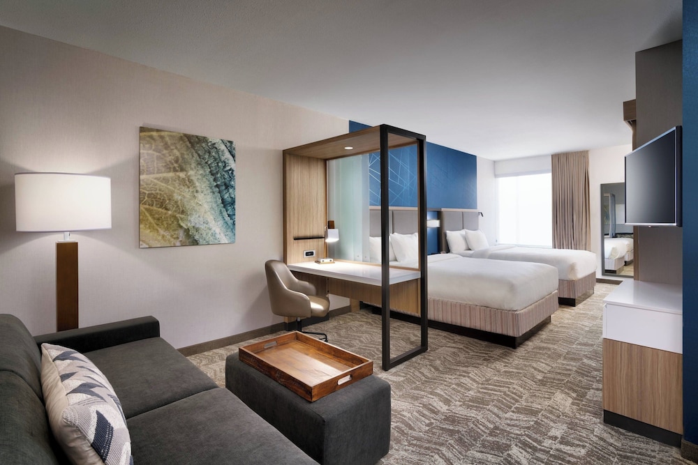 SpringHill Suites by Marriott El Paso Airport - photo 8