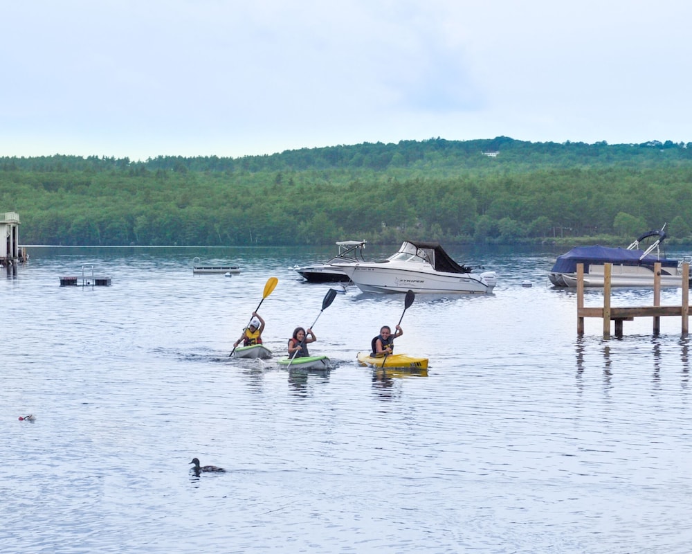 The Naswa Resort - photo 44