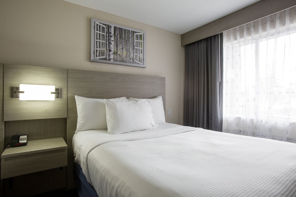 Hotel Aspen InnSuites Flagstaff Grand Canyon - photo 28
