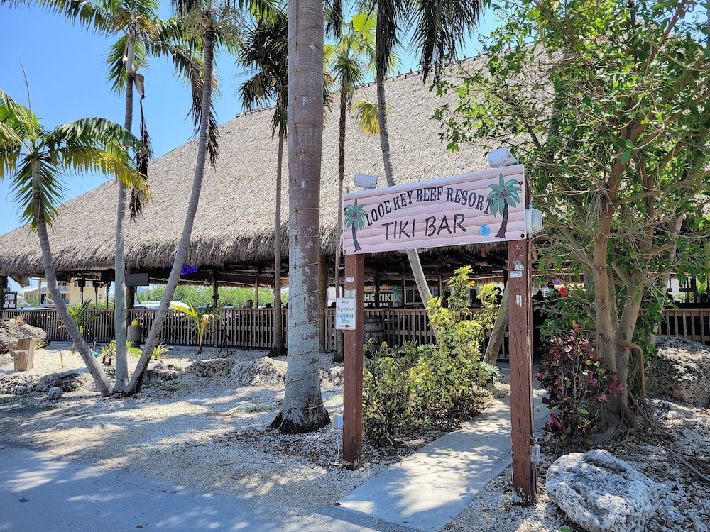 Looe Key Reef Resort - photo 48