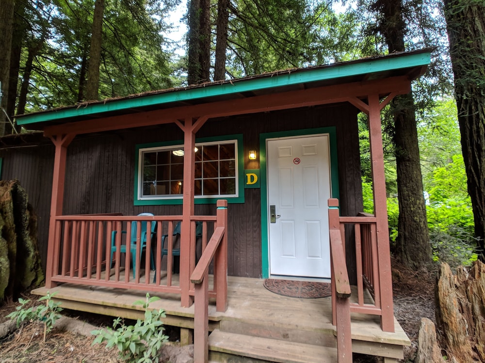 Emerald Forest Cabins - photo 100