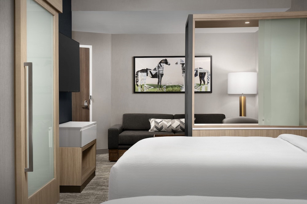 SpringHill Suites by Marriott Lexington Fritz Farm - photo 9
