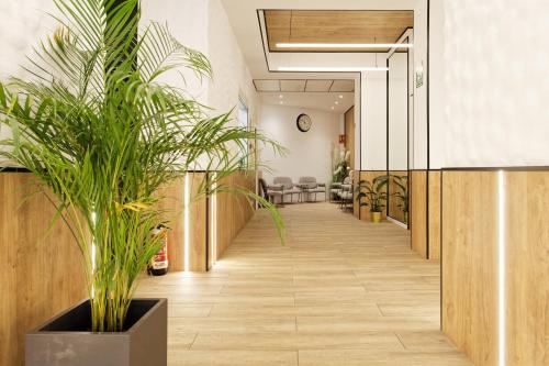 Green House Hotel — Barcelona — photo 5