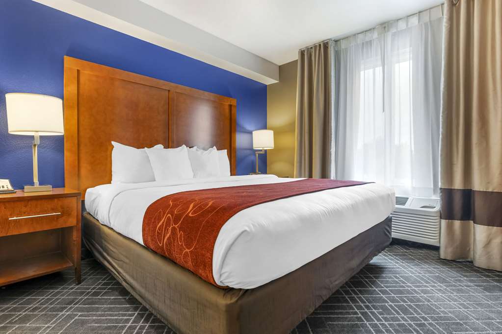 Comfort Suites Redding Shasta Lake - photo 20