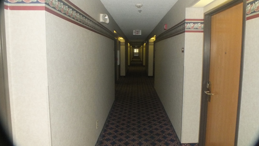 Quality Express Inn & Suites - photo 31