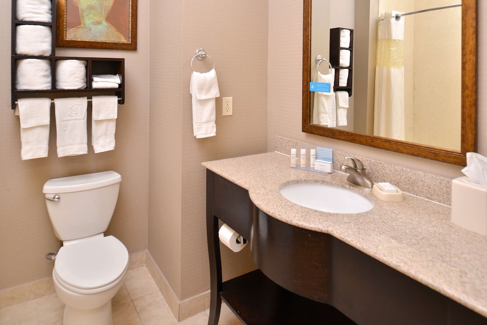 Hampton Inn Van Horn - photo 14