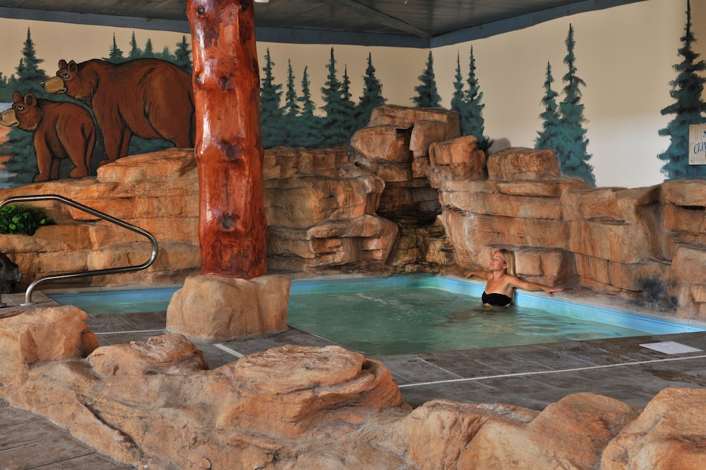 Stoney Creek Hotel St. Joseph - photo 33