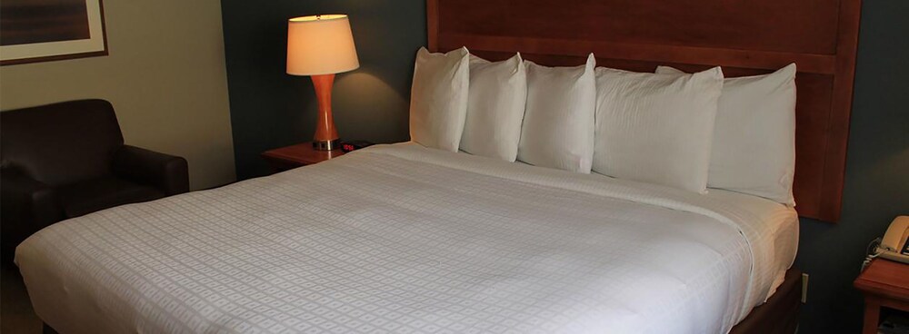 Isle of Capri Casino Hotel Lula A Caesars Rewards Destination - photo 4