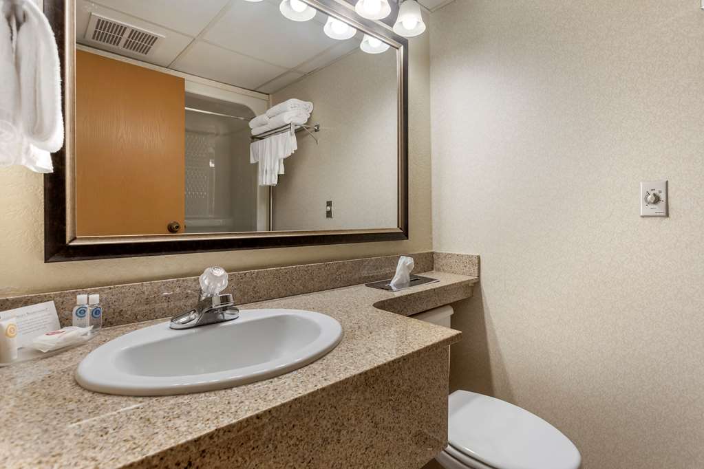 Comfort Inn at Thousand Hills - photo 15