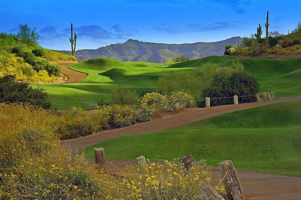 Gold Canyon Golf Resort & Spa - photo 35