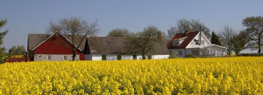 Sydkustens at Lillehem — hotel in Skivarp