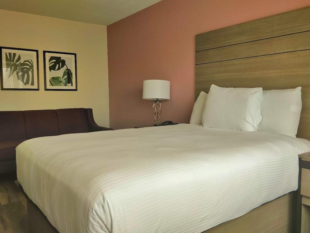 Microtel Inn & Suites By Wyndh - photo 17