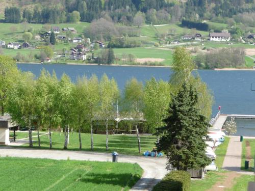 Ferienwohnung Eichenseher — 4-Star Luxury Hotel in Bodensdorf, Austria