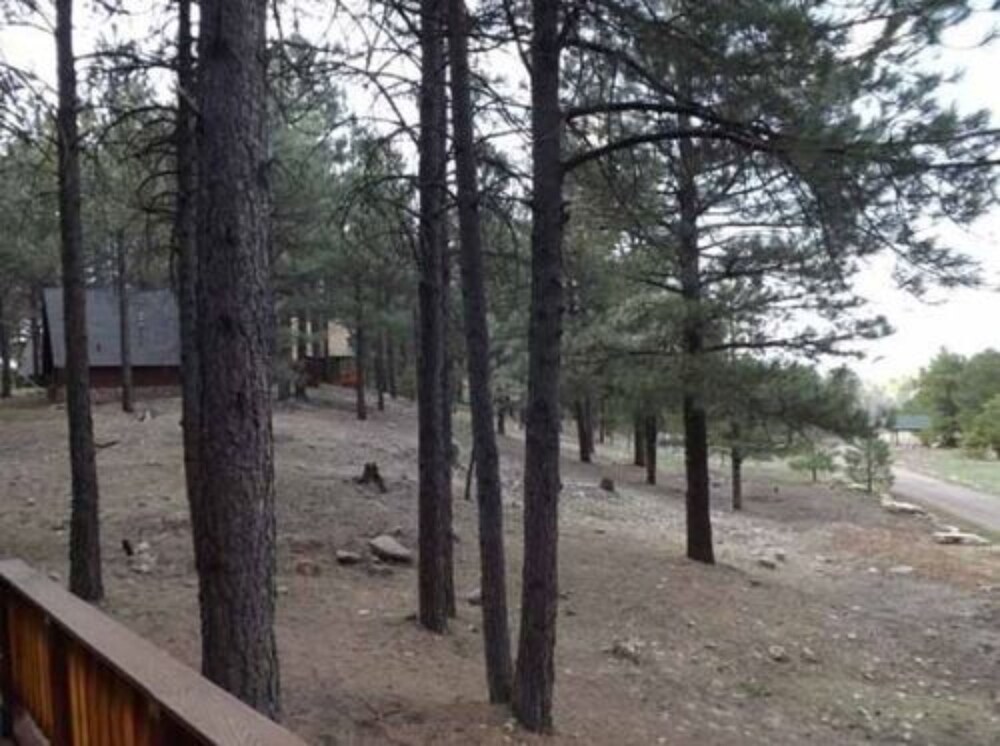 Arizona Mountain Inn and Cabins - photo 277