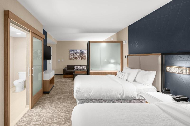 SpringHill Suites by Marriott Jackson - photo 29