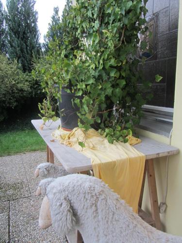 Haus Sonnenblick — Lam — photo 4