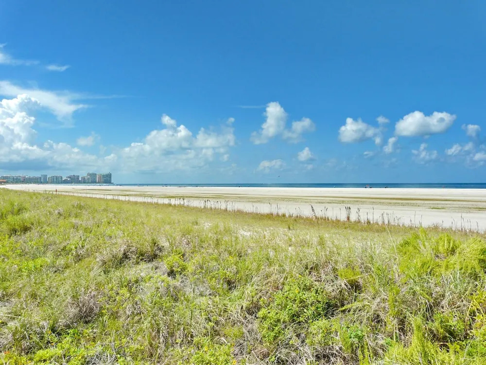 Tradewinds 1201 - photo 19