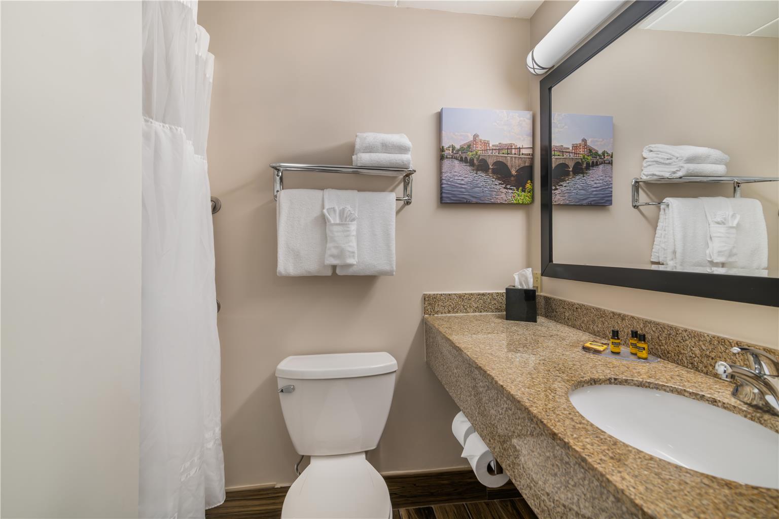 Best Western Plus Waltham Boston - photo 20