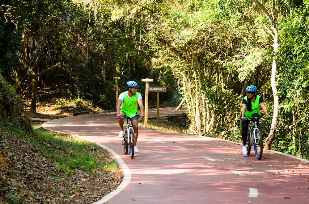 Bicycling