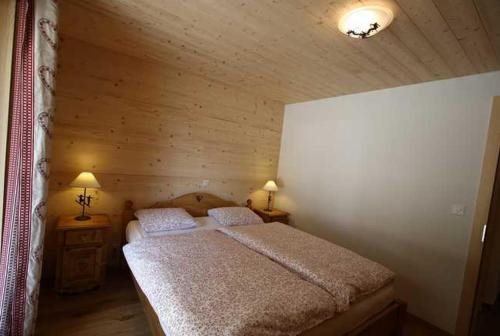 Minotel Glacier in Orsieres, Switzerland