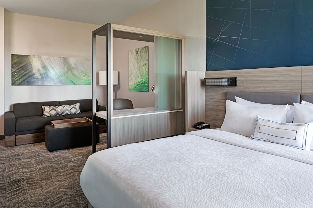 SpringHill Suites by Marriott West Sacramento - photo 12
