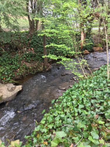 Brookside Cottages — Waynesville — photo 4