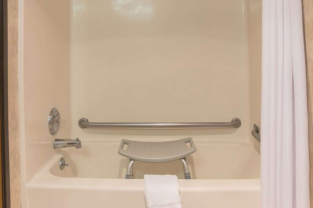 Quality Inn & Suites Detroit Metro Airport - photo 25