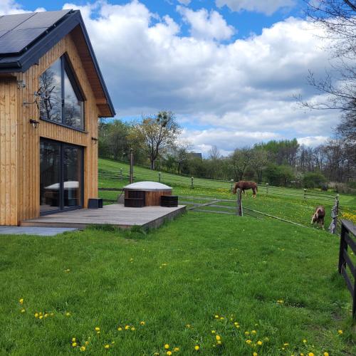 JASZCZURKA domek nad rzeką Zwierzyniec Roztocze Jacuzzi Sauna in Zwierzyniec, Poland