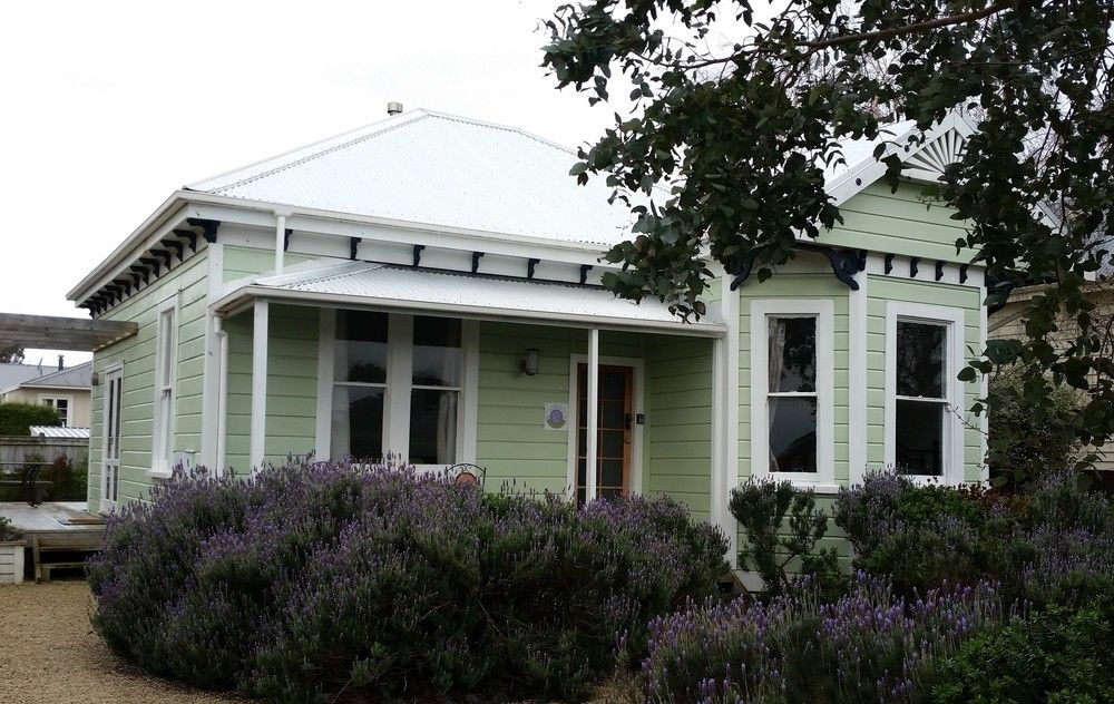 Lavender53 in Wellington, New Zealand