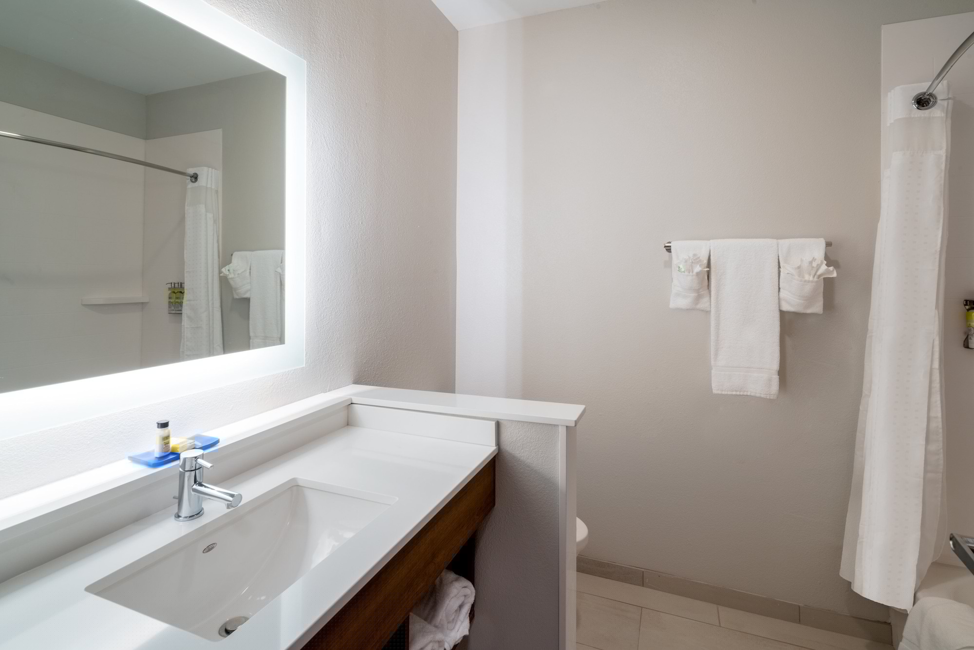 Holiday Inn Express & Suites St Peters by IHG - photo 52