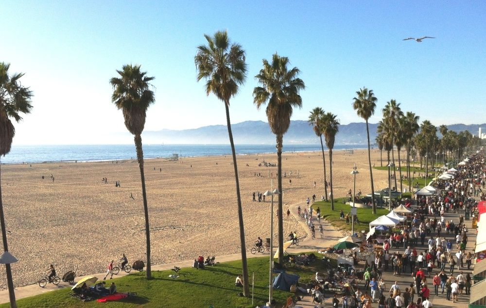 Venice Beach Suites & Hotel - photo 8