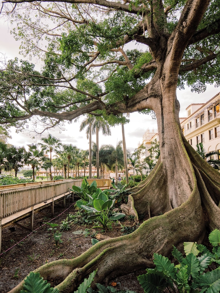 Cloister at The Boca Raton - photo 129