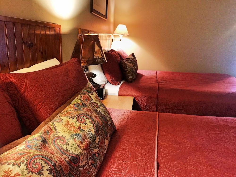 The Hungry Trout - photo 5