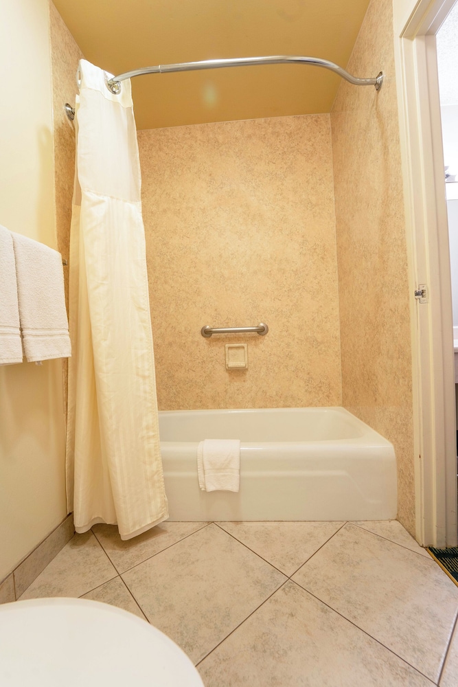 Royal Plaza Inn Indio - photo 66