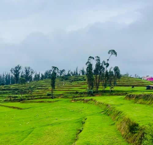 Teyt’s Green Haven 3 BHK in Ooty, India