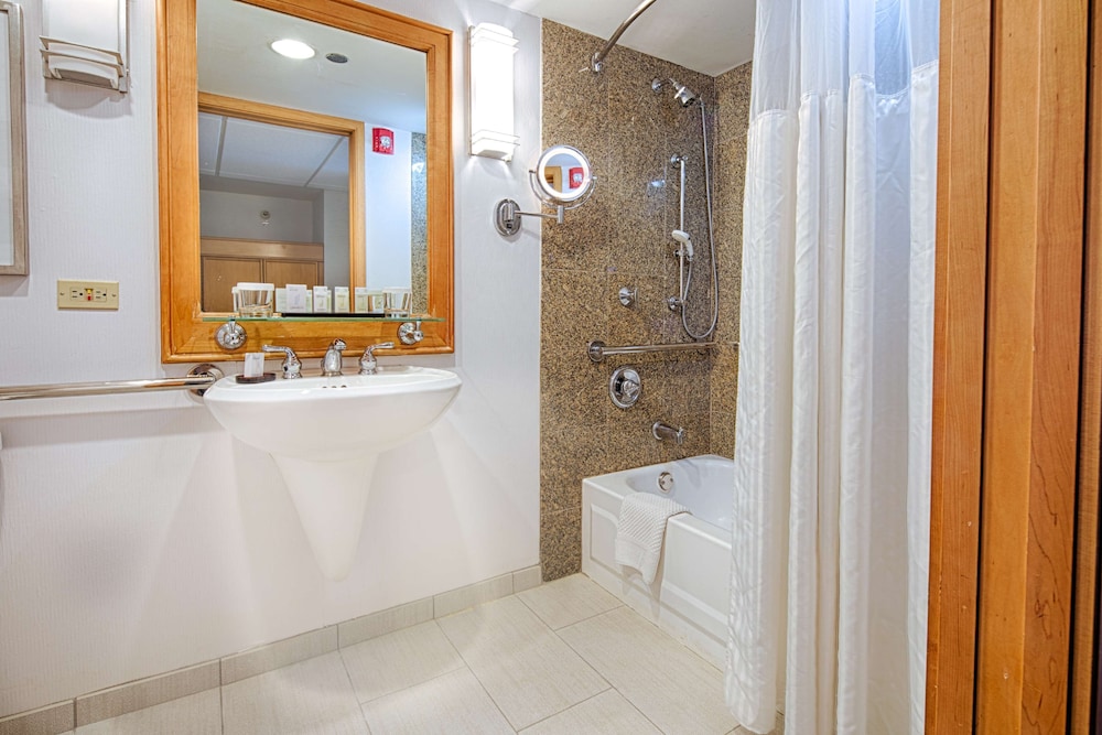 Embassy Suites by Hilton Chicago O'Hare Rosemont - photo 23