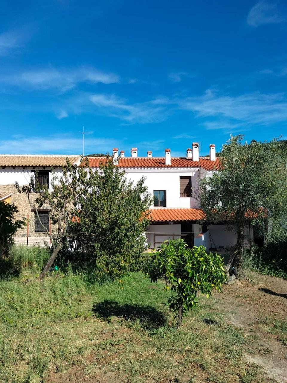 Casas Rurales Los Montes